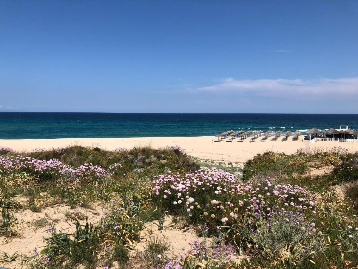 Apartment Tramonto Sea-Front 발레도리아 외부 사진